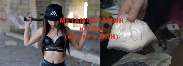 сатива Беломорск