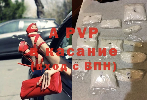 шишки Белокуриха