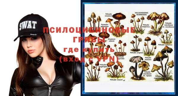 сатива Беломорск