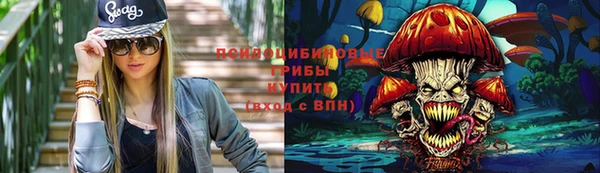 твердый Балахна