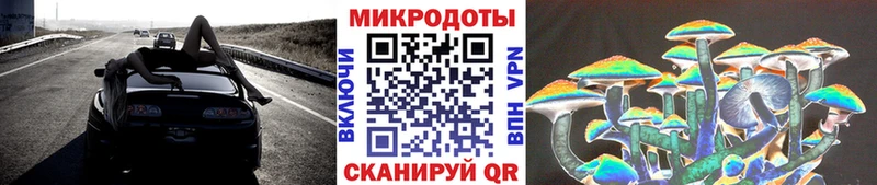 дарнет шоп  Зарайск  Псилоцибиновые грибы мицелий 